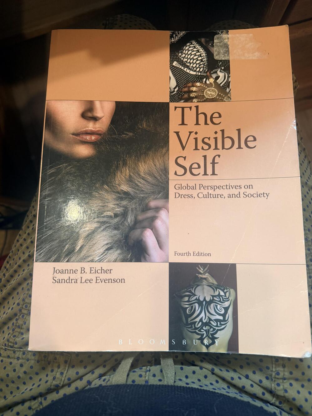 The Visible Self 4th Ed Joanne B. Eicher Sandra Lee Evenson Paperback Ex-Library